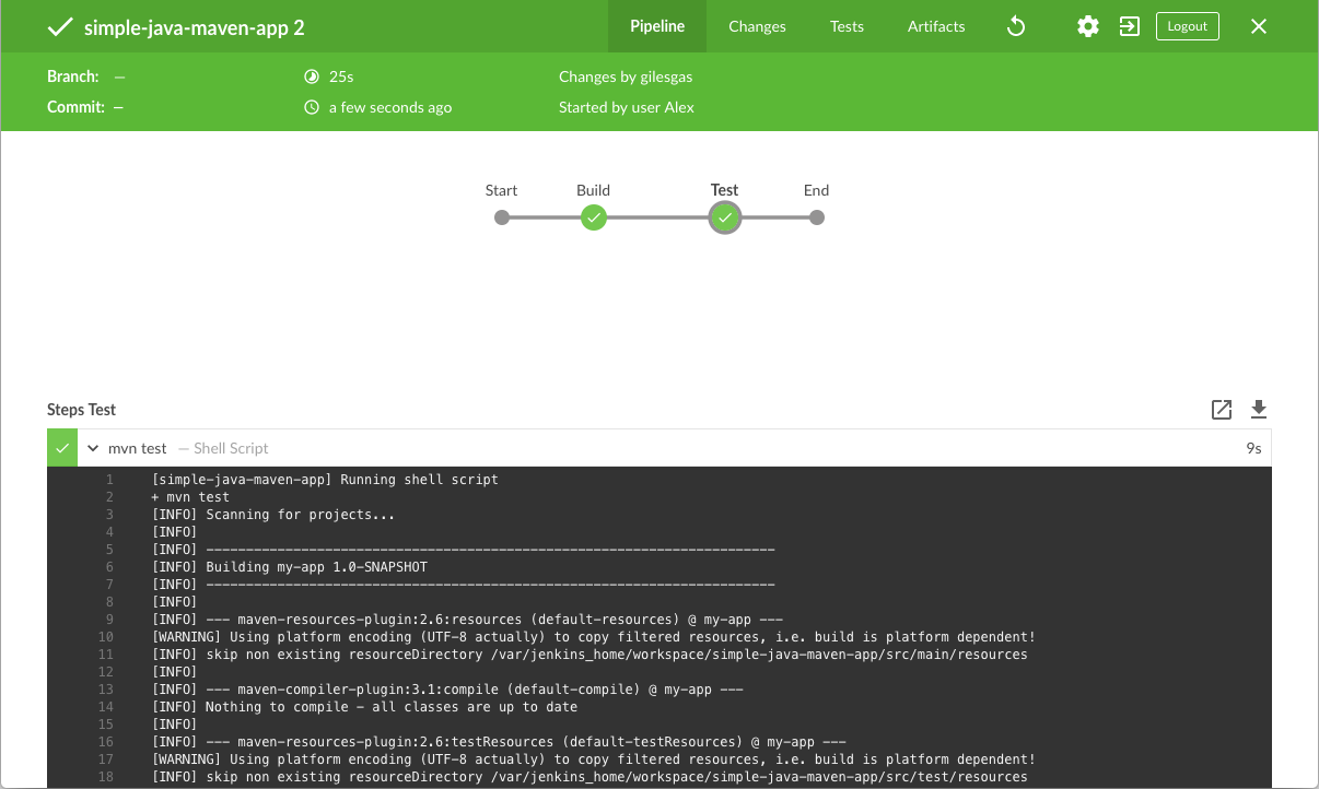 Test stage runs successfully (with output)